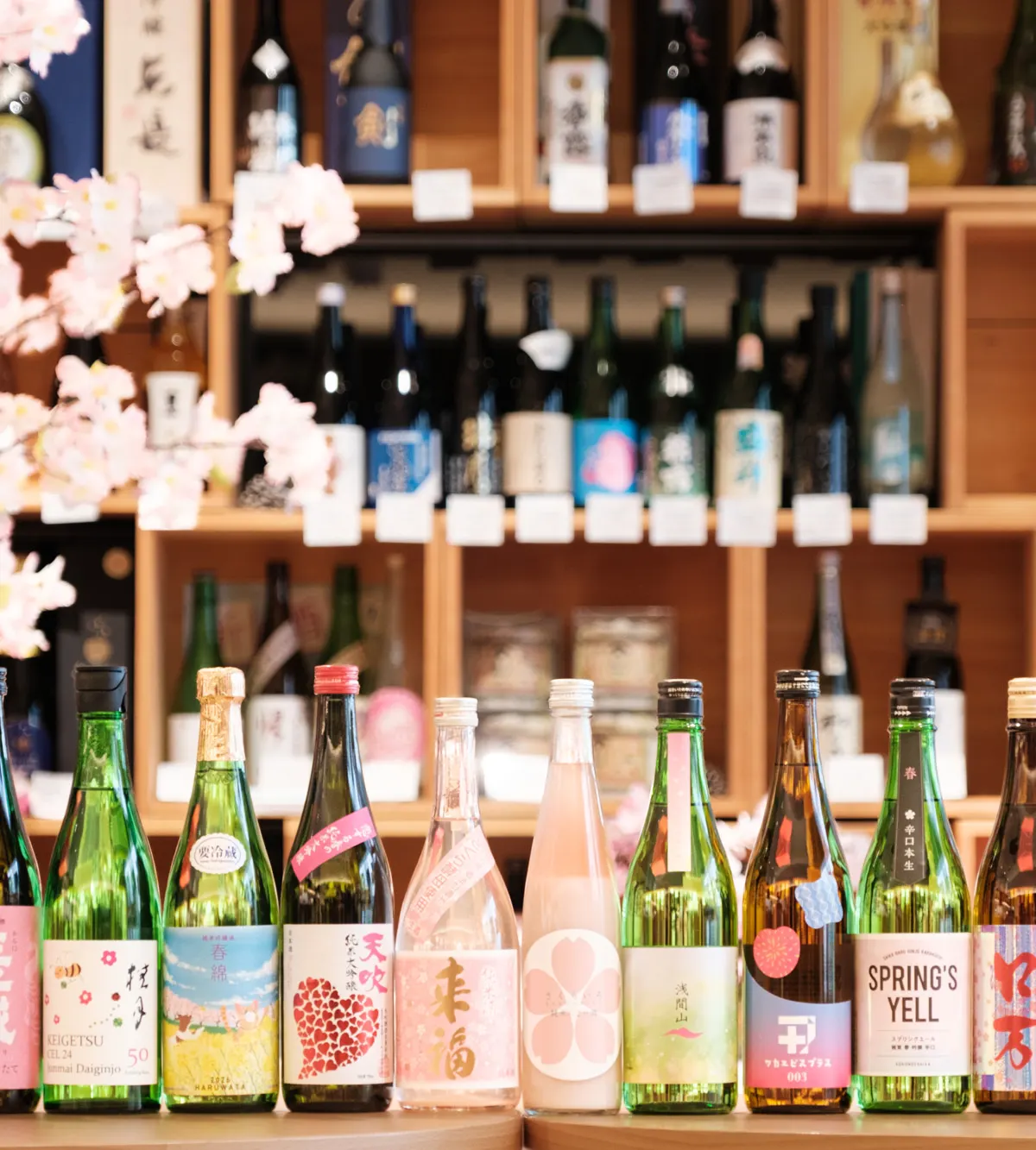 虎ノ門「日本の酒情報館」で春酒12銘柄を試飲できる 1杯200〜300円